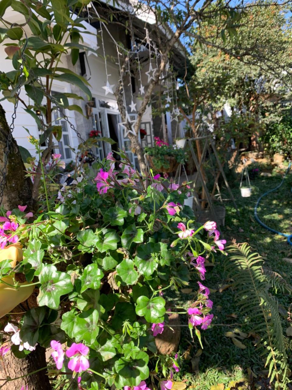 De Daisy Villa Homestay Da Lat Exterior photo